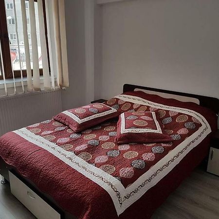 Apartament Mioritza 2B Horezu Extérieur photo