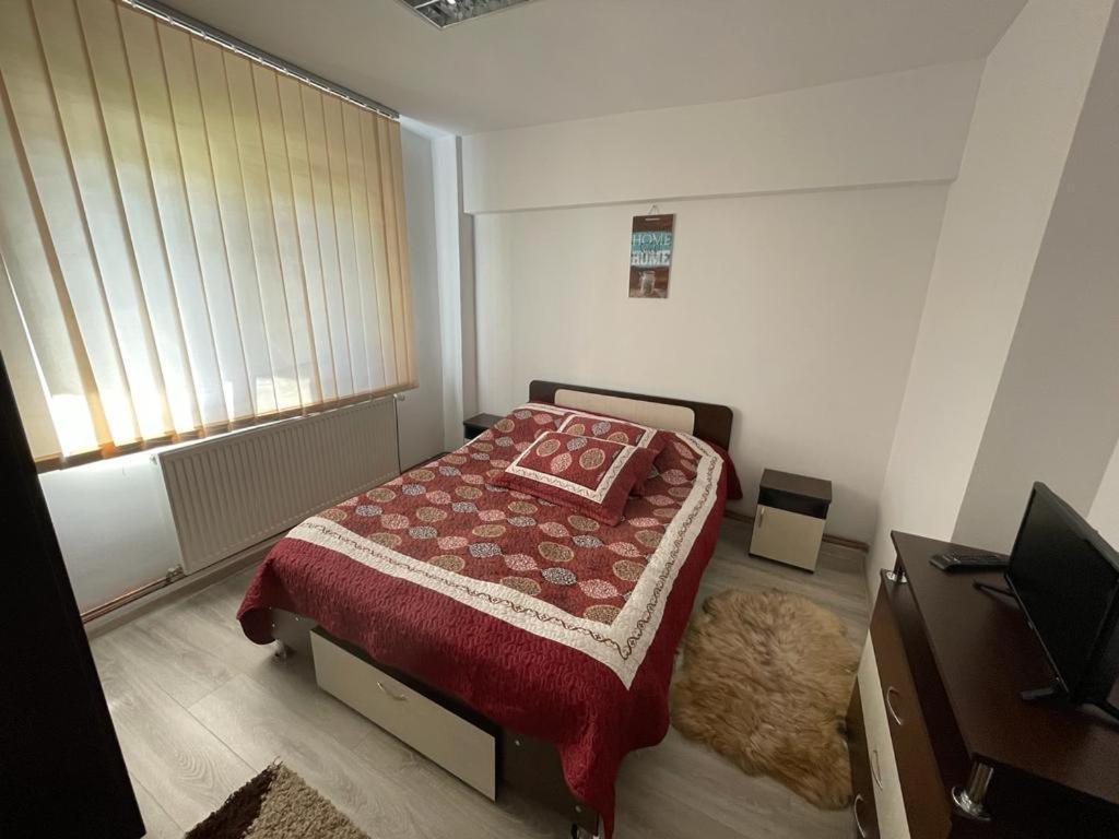 Apartament Mioritza 2B Horezu Extérieur photo